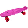 Скейтборд TECH TEAM METALLIC 22